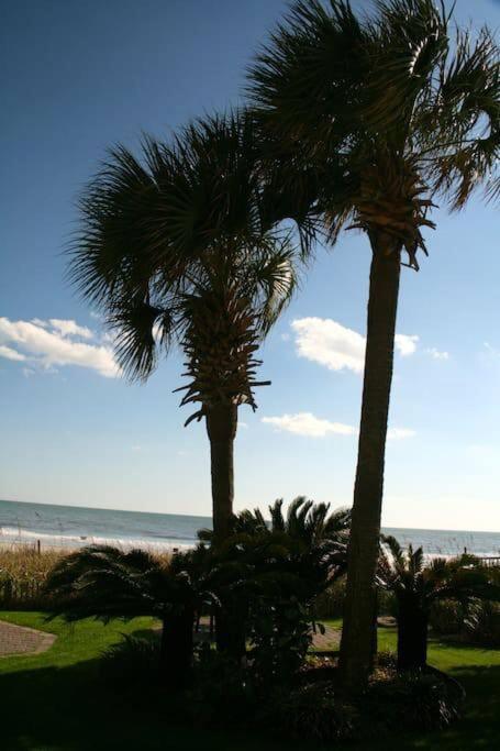 *Top Notch Family Space*Pool*Steps To The Sand*Huge Master*Wt0 Myrtle Beach Eksteriør billede